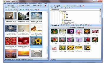 Ideal Photo Sorter for Windows - Download it from Habererciyes for free